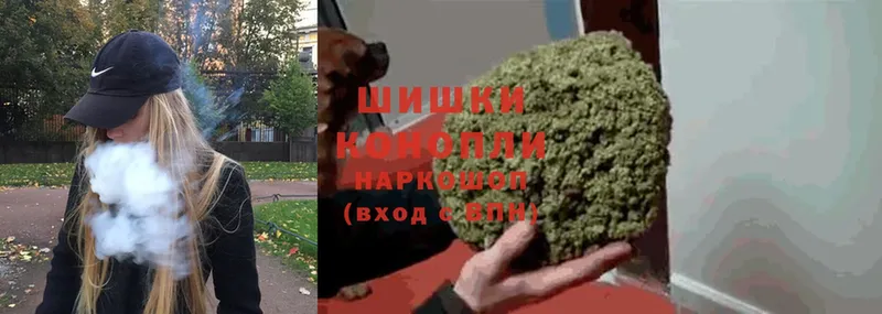 Конопля SATIVA & INDICA  mega как зайти  Новороссийск 